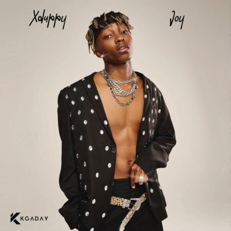 XDuppy - Joy Album zip mp3 download free 2023 full album file zippyshare itunes datafilehost sendspace