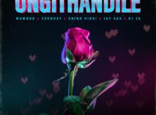 Baby Momo – Ungithandile ft. MaWhoo, Ceenday, Jay Sax, Shino Kikai & DJ 2K mp3 download free lyrics