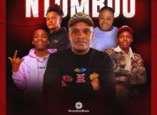 DJ Karri, BL Zero & Lebzito – Ntomboo ft. Mfana Kah Gogo & Bobo Mbele mp3 download free lyrics