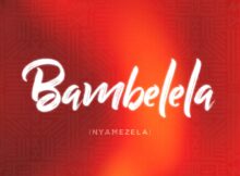 Macfowlen, DJ Stokie & Ntokzin – Bambelela (Nyamezela) ft. TBO, Moscow on Keys & Rams Da Violinist mp3 download free lyrics