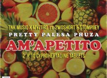 TNK MusiQ, Myztro & Xduppy - Am'apetito ft. 2woshort & Stompiiey mp3 download free lyrics