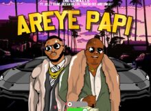 The Lowkeys – Areye Papi ft. Jelly Babie, Tshego Dee, Tskay de Musiq & Ocean Biller mp3 download free lyrics