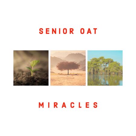 Senior Oat - Miracles Album zip mp3 download free 2024 full file zippyshare itunes datafilehost sendspace