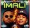 Kraizie & Emtee – Imali mp3 download free lyrics