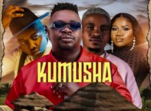 Mr Brown & Tee Jay – Kumusha ft. Makhadzi & Aymos mp3 download free lyrics