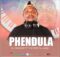 DJ Msheza - Phendula ft. Csyzer & Lungi mp3 download free lyrics