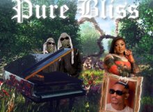 Luzyo Keys, 2woBunnies & DBN Gogo – Pure Bliss mp3 download free lyrics